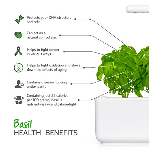 Click and Grow Smart Garden Basil Plant Pods, 3-Pack - Thumbnail 4