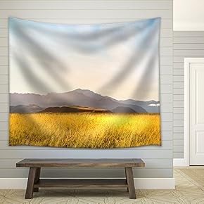 Natural Landscape of Summer Field and High Mountain - Fabric Wall Tapestry Home Decor - 51x60 inches