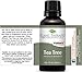 Plant Therapy Tea Tree Essential Oil 100% Pure, Undiluted, Natural Aromatherapy, Therapeutic Grade 10 mL (1/3 oz)