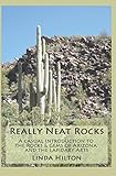 Really Neat Rocks: A casual introduction to the rocks & gems of Arizona and the lapidary arts by 