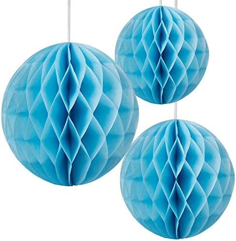 Floral Reef Set of 3 Assorted Sizes (8", 10", 12") - SKY BLUE Tissue Paper Honeycomb Ball Pom Pom Flower Hanging Home Decoration Party Wedding