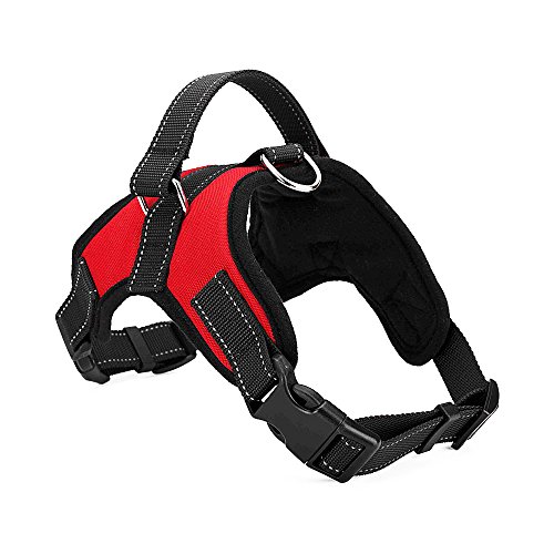 kiwitata Dog Harness- Leash Included,Dog Vest Halter Soft Padded Harness Leashes Set,Adjustable and Durable Harness for Pet All Size Dog Daily Training Walking Running