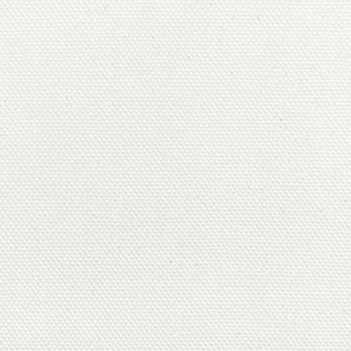 Cotton Canvas Drop Cloth (8' x 10', White)