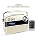SAREGAMA Carvaan SC01 Portable Digital Music Player (Porcelain White)