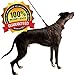 Logical Leather Adjustable Dog Harness - Heavy Duty Quick Release Genuine Leather Harness - Brown