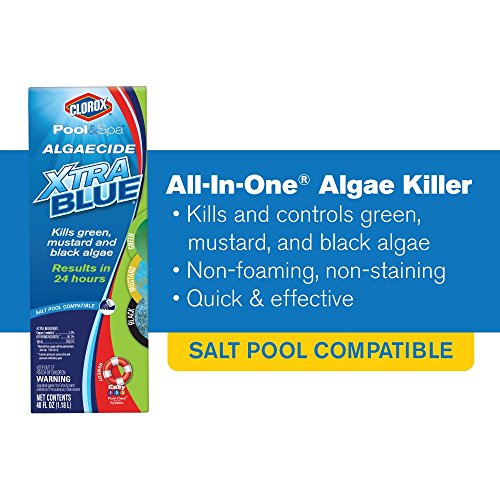 Clorox XtraBlue Algaecide - Image 4