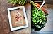 The Orange Chef Sleeve for iPad, Clear, 25-Pack