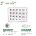 300w LED Grow Light, Upgraded Full Spectrum Reflector-Series Plant Lamp with Heatproof Case for Greenhouse Hydroponic Indoor Plant by Lightimetunel