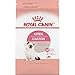 Royal Canin Feline Health Nutrition Kitten Dry, 3.5 lb bag
