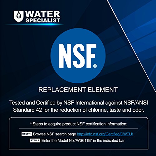 Waterspecialist DA29-00003G Refrigerator Water Filter Replacement for Samsung DA29-00003G, DA29-00003B, DA29-00003A, HAFCU1, 2 Pack