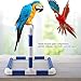 Parrot Stand Perch Rack Bird Play Training Stands Parrots Shower Perches Playstand Playgound Standing Toy for Macaw Cockatoo African Grey Budgies Parakeet Cockatiel Conure Lovebirds(Scrub)thumb 4