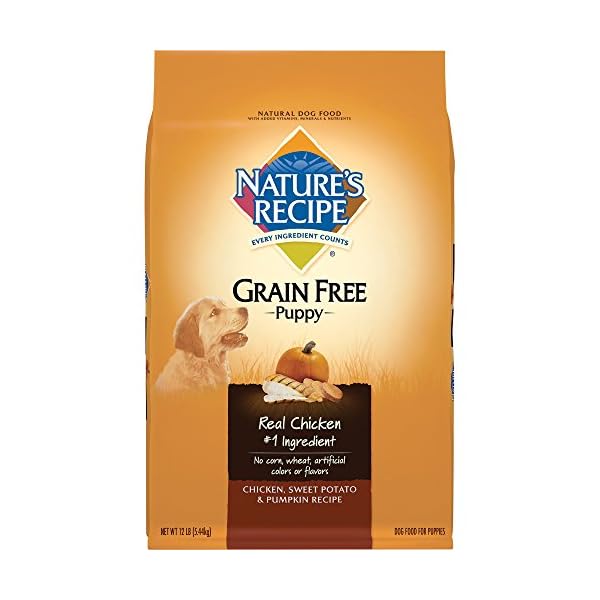 Nature’s Recipe Grain Free Dry Dog Food Sleek Markets