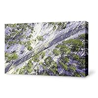 signwin-Canvas Wall Art-Aerial Photo-Canvas Prints Home Artwork Decoration for Living Room,Bedroom - 12x18 inches