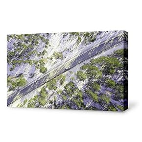 Canvas Wall Art Free Way Land View from Sky Painting Artwork for Home Prints Framed - 12x18 inches