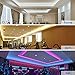 Shine Decor 8x16mm LED Mini Neon Lights, 110V Dimmable Flexible Waterproof Rope Lights, 2835 120LEDs/M, for Indoor Outdoor Ambient Lighting Decoration, Accessories Included, 50ft 6500K Cool White
