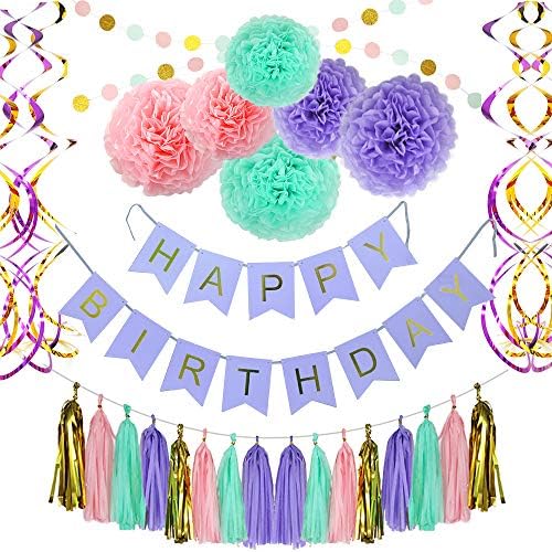 Birthday Party Decoration Party Supplies, Party Decors and Sets, Including Happy Birthday Banner, Paper Tassels, Paper Pom Pom, Dot Paper Garland and Swirls