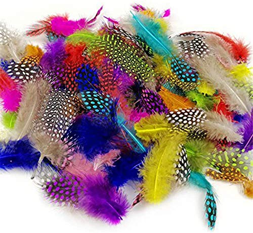 JPSOR 120pcs Feathers for Craft Colorful Spotted Craft Feathers, 3-6 Inches 10 Colors for DIY Party Jewelry Clothing Decoration