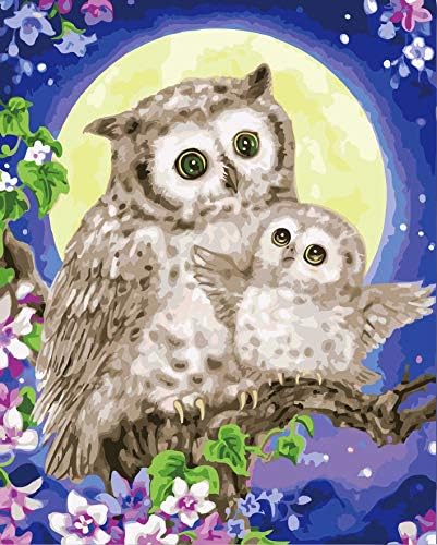 UHIPPO Canvas DIY Oil Painting Numbers for Adults Kits with Owl for Kids Beginner Moonlight , 16X20 Inch