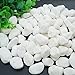 Wayber Decorative Stones, 1 Lb/455g White Stones Rock Crystal Sands for Bonsai Succulent Plants Ornament/Bottom Decoration/Aquarium Turtle Tank Landscape (Fills 1&1/4 Cups)
