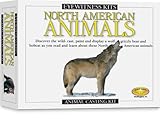 Skullduggery Eyewitness Kit North American Animals Casting Kit
