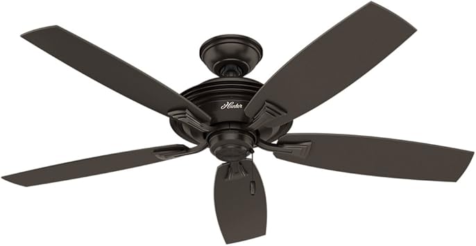 Hunter Indoor Outdoor Ceiling Fan With Pull Chain Control