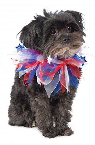 Rubies Costume Patriotic Fancy Collar Dog Costume