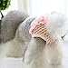 Bro'Bear Washable & Elastic Floral Female Dog Diaper Sanitary Panties Puppy Lace Underwear Pink (Large)