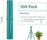 Radworx 100 Pack Bamboo Plant Support Sticks 30cm - Weather Resistant Canes view 2
