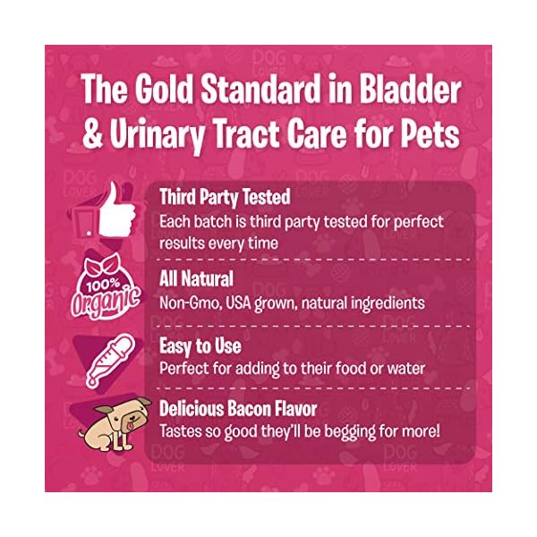 Cranberry Supplements for Dog UTI Cranberry Extract Dog Chews with