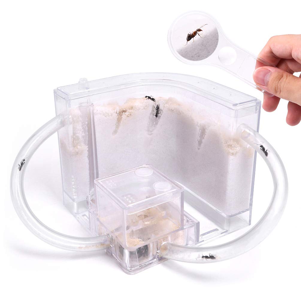 NAVAdeal Sand Ant Farm with Connecting Tubes, Habitat Educational & Learning Science Kit Toy for Kids & Adults - Allows Study of Ecosystem, Behavior of Ants, Explore The World at Home and School