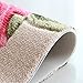 Beautiful Rose Flower Area Rug Soft Bathroom Rugs Bath Mat Non Slip Door Mat Kitchen Rug Welcome Mat (18.50 x 30.31 Inch)