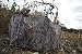 Ameristep Throwdown Blind, Realtree Xtra variant