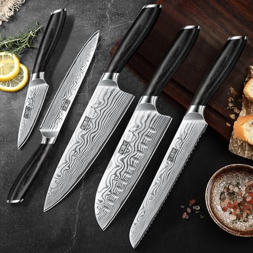 HOSHANHO 5 Piece Kitchen Knife Set, Professional Chef Knife Set Powder Steel, Ultra Sharp Japanese Kitchen Knife with Ergonomic Handle by Pakkawood