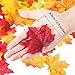 Zhanmai 500 Pieces 10 Colors Assorted Fake Silk Autumn Maple Leaves Artificial Fall Leaf for Weddings, Events and Decorating