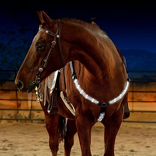 Highly Visible Illuminant LED Breast Collar for Horse Riding in The Dark - Adjustable, Sturdy & Comfortable Equestrian Protective Safety Gear - Thumbnail 2