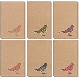 36 Pack All Occasions Assorted Blank Note Cards Greeting Cards Bulk Box Set - 6 Colorful Rustic Bird Designs - Blank on the Inside Notecards with Envelopes Included - 4 x 6 Inches