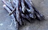 5 Purple Asparagus Plants Bare root 2year old Plants!