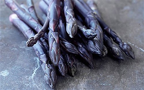 5 Purple Asparagus Plants Bare root 2year old Plants!