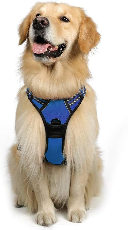 Rabbitgoo Harnais Chien L Arnais Bleu Anti Traction Réfléchissant Gilet Réglable Pour Chien Grand Taille Attache Devant Crochet De Laisse Pour