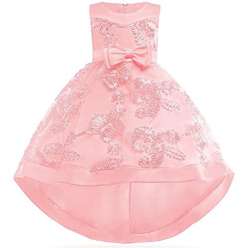 Children Dress for Party Flower Blush Pink Prom Little Girl Toddler Princess Ball Gown Tutu High Low Elegant Pageant Gowns Tea Length Big Girl Kid Sleeveless Dress Under 25 Frocks (Pink 100)