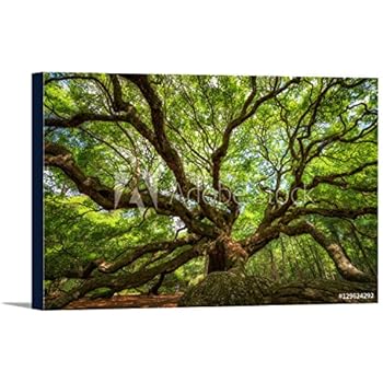  Angel Oak Charleston By Pierre Leclerc Work 24
