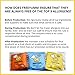 FreeYumm Double Chocolate Soft Baked Cookies - Plant Based - Allergy Friendly Snacks - Gluten Free - Safe for School - 42 Individually Wrapped Cookies