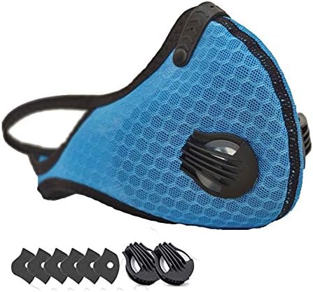 Fdsf 5-layer activated carbon dust mask, ear-hook nose clip adjustable sports mask, outdoor protective mask (Color : Blue, Size : L)