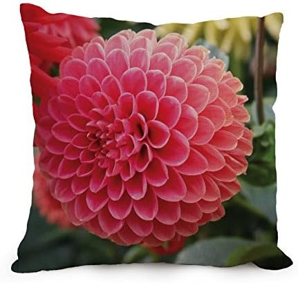 Flower Pillowcase 18 X 18 Inches / 45 By 45 Cm Gift Or Decor For Boy Friend Teens Girls Indoor Festival Kitchen - Both Sides