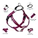 2 Hounds Design Freedom No Pull Dog Harness, Adjustable Harness, Easy Walking & Comfortable Control, Fits Small, Medium & Large Dogs, Solid Colors, Made in USA, 5/8