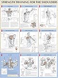 Strength Training for the Shoulders (Strength Training Anatomy) by 