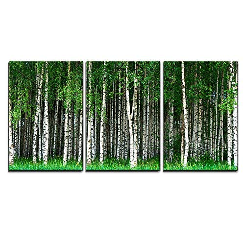 Beautiful Swedish Summer Landscape with Grove of Birch Trees Home Art x3 Panels