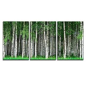3 Piece Canvas Wall Art - Beautiful Swedish Summer Landscape with Grove of Birch Trees - Modern Home Art Stretched and Framed Ready to Hang - 16"x24"x3 Panels