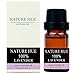 Nature Hue - Lavender Essential Oil 10 ml, 100% Pure Therapeutic Grade, Undiluted