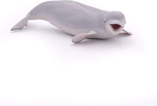 Amazon Papo パポ ベルーガ Pvc Pa フィギュア ドール 通販
